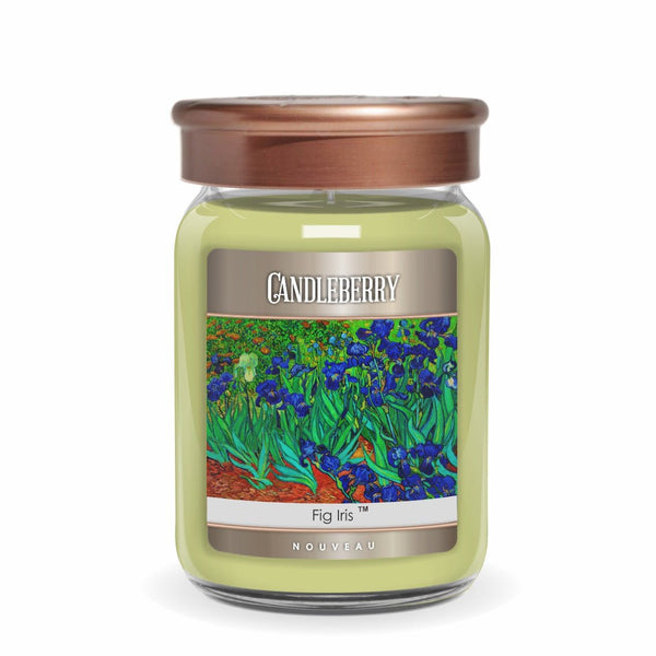 Large Jar Candles The Candleberry Candle Company Page 2 The