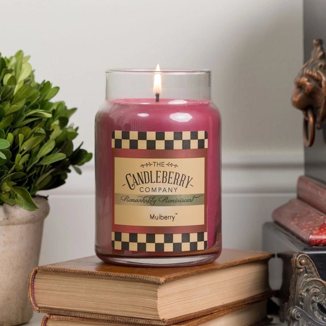 Mulberry™, Large Jar Candle - The Candleberry® Candle Company - Reminiscent Large Jar Candle - The Candleberry Candle Company