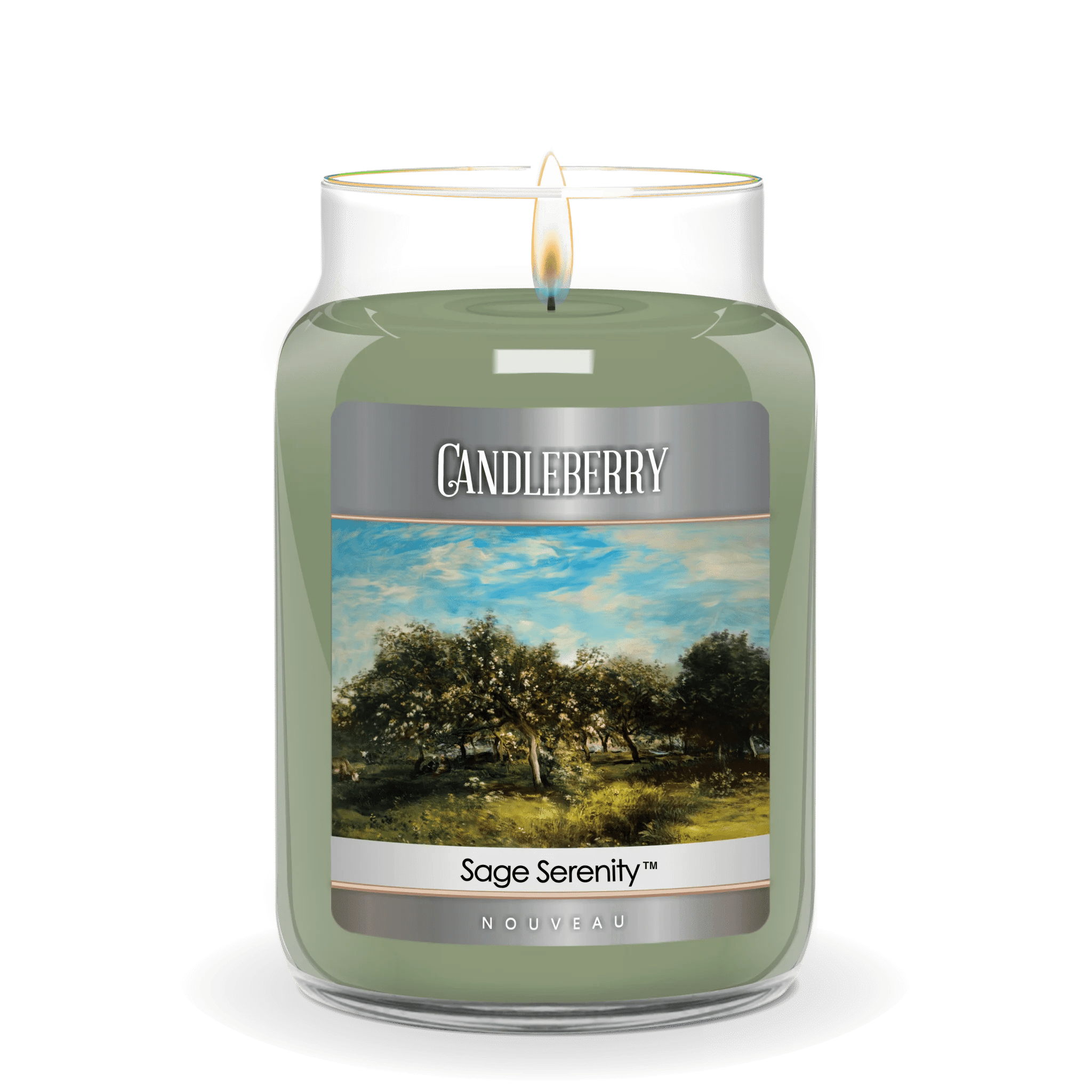 NOUVEAU™ - Sage Serenity™, Large Jar Candle - The Candleberry® Candle Company - Nouveau Large Jar Candle - The Candleberry Candle Company