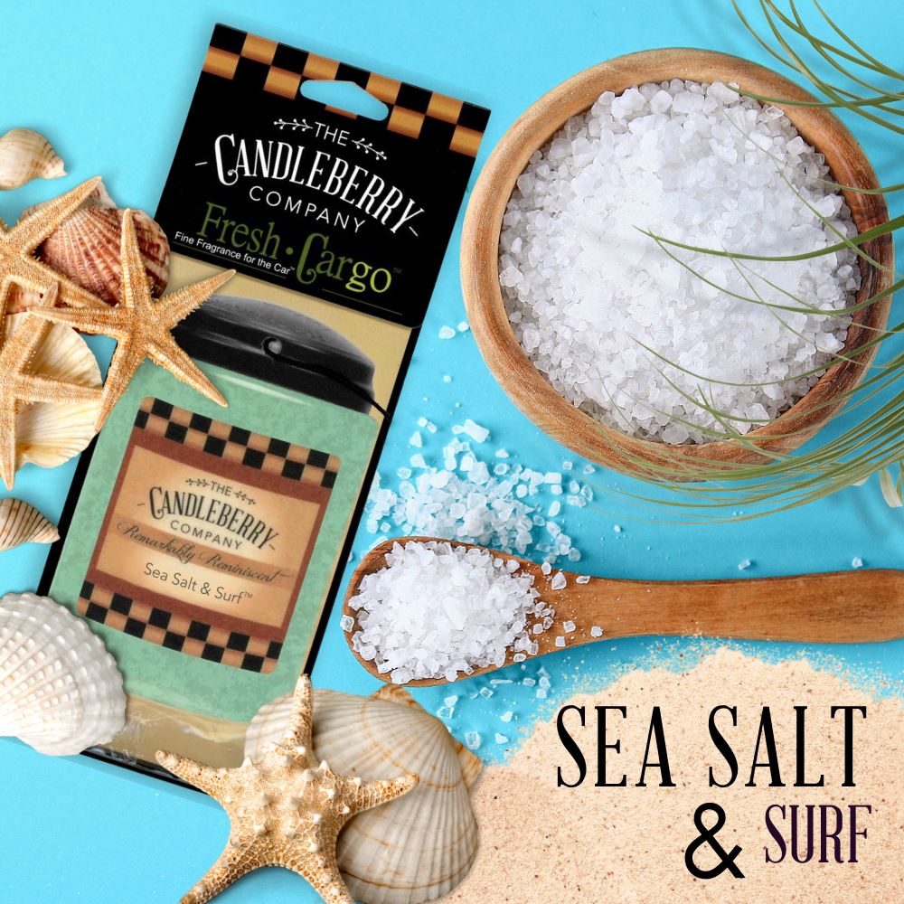 Candleberry Candles Sea Salt & Surf Fresh Cargo Car Fragrance